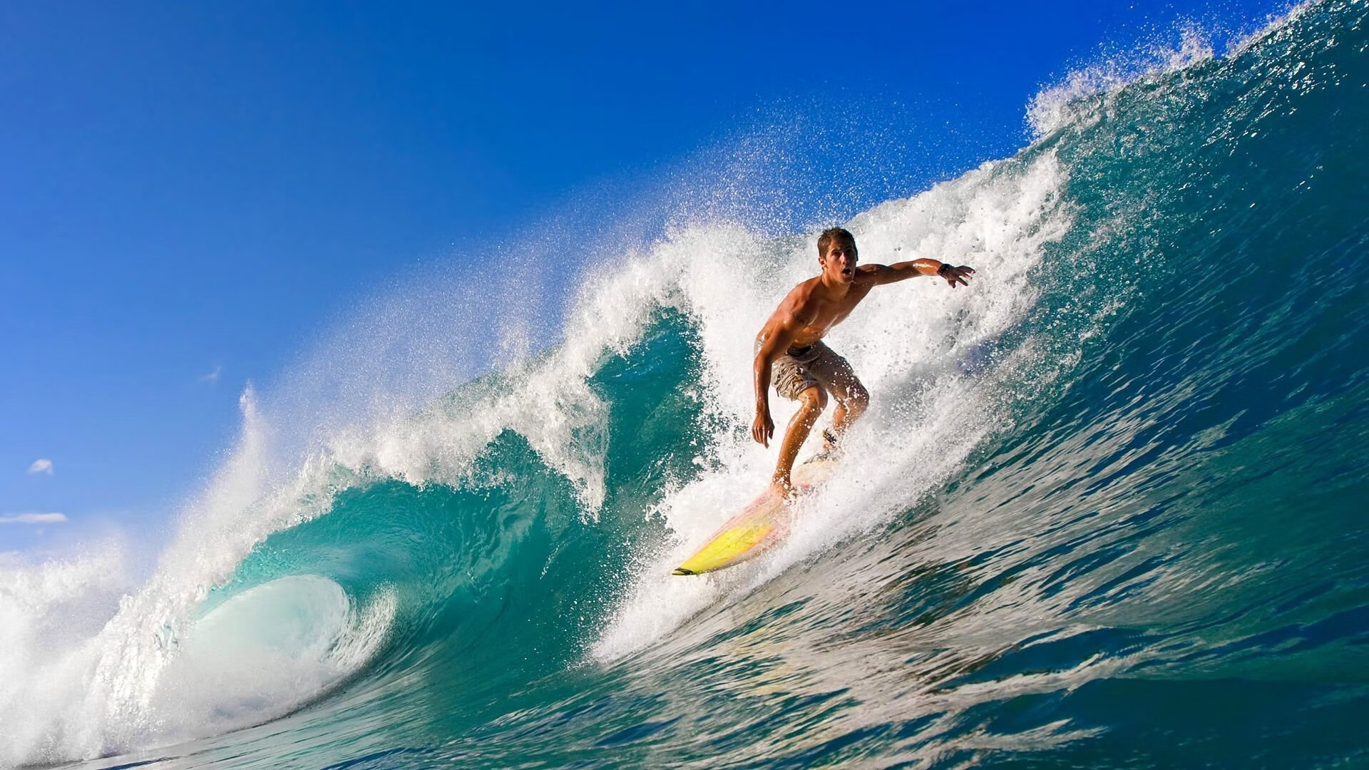 开云电竞登录-福建豹发力球队心理素质显著提高，福建豹发力篮球俱乐部